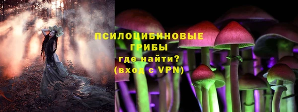 mdpv Алзамай