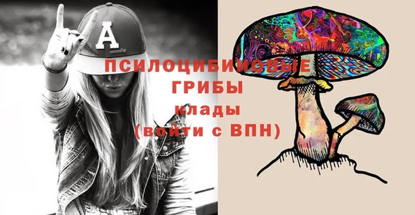 mdpv Алзамай