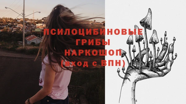mdpv Алзамай