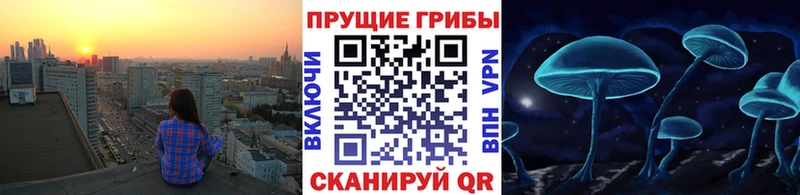Псилоцибиновые грибы прущие грибы Искитим