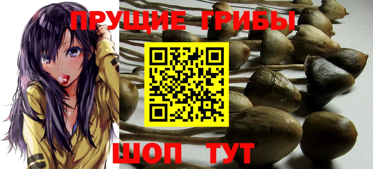 Псилоцибиновые грибы ЛСД Искитим