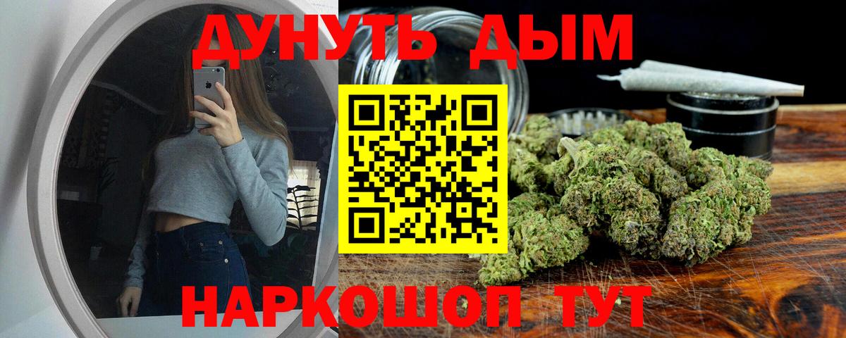 Бошки Шишки планчик Искитим